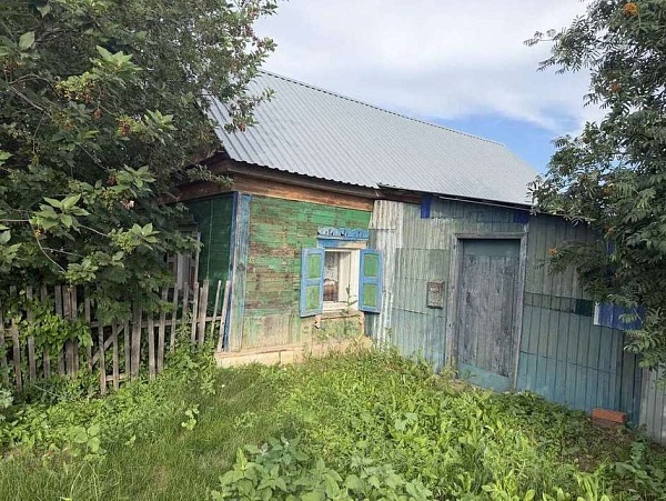 Дом, 26 кв.м., Воронежская улица, 19